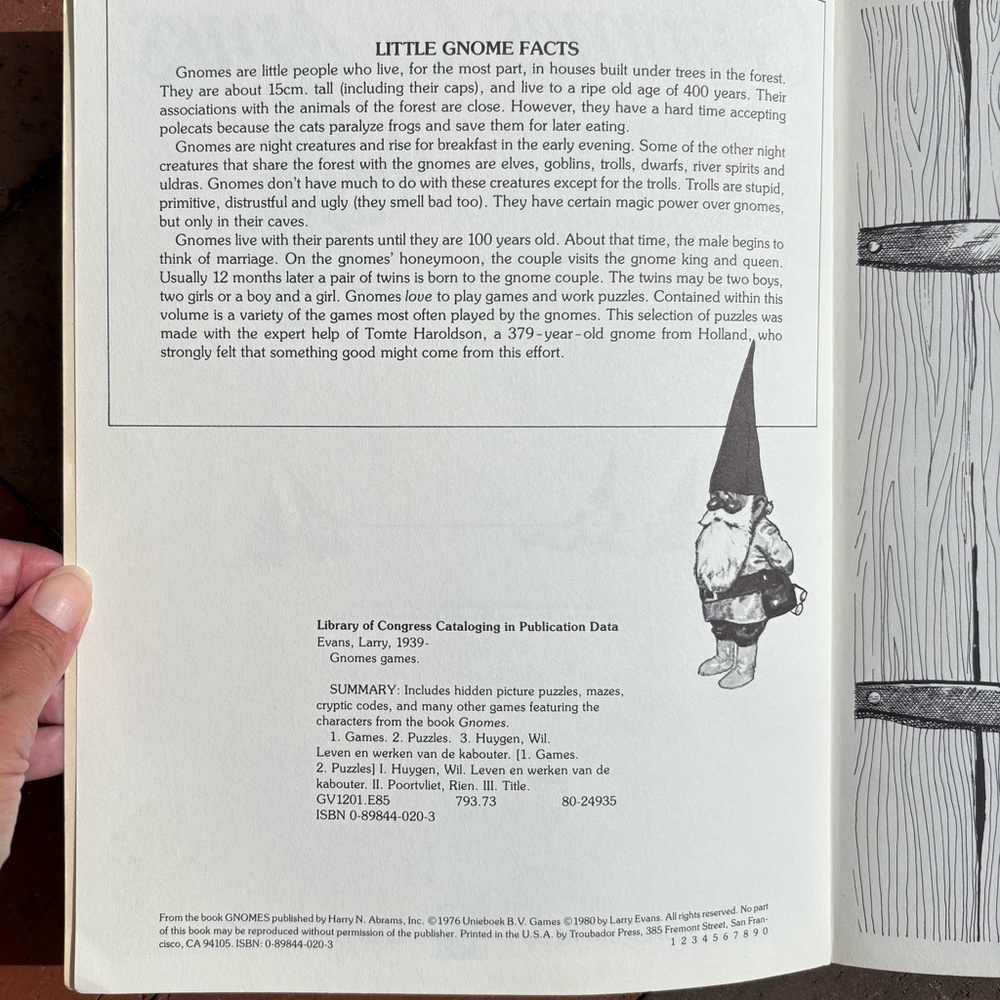 1980 Gnomes Games Trolls Gnome Puzzles Tricks Magic Word Search Fey Larry Evans - Picture 11 of 12